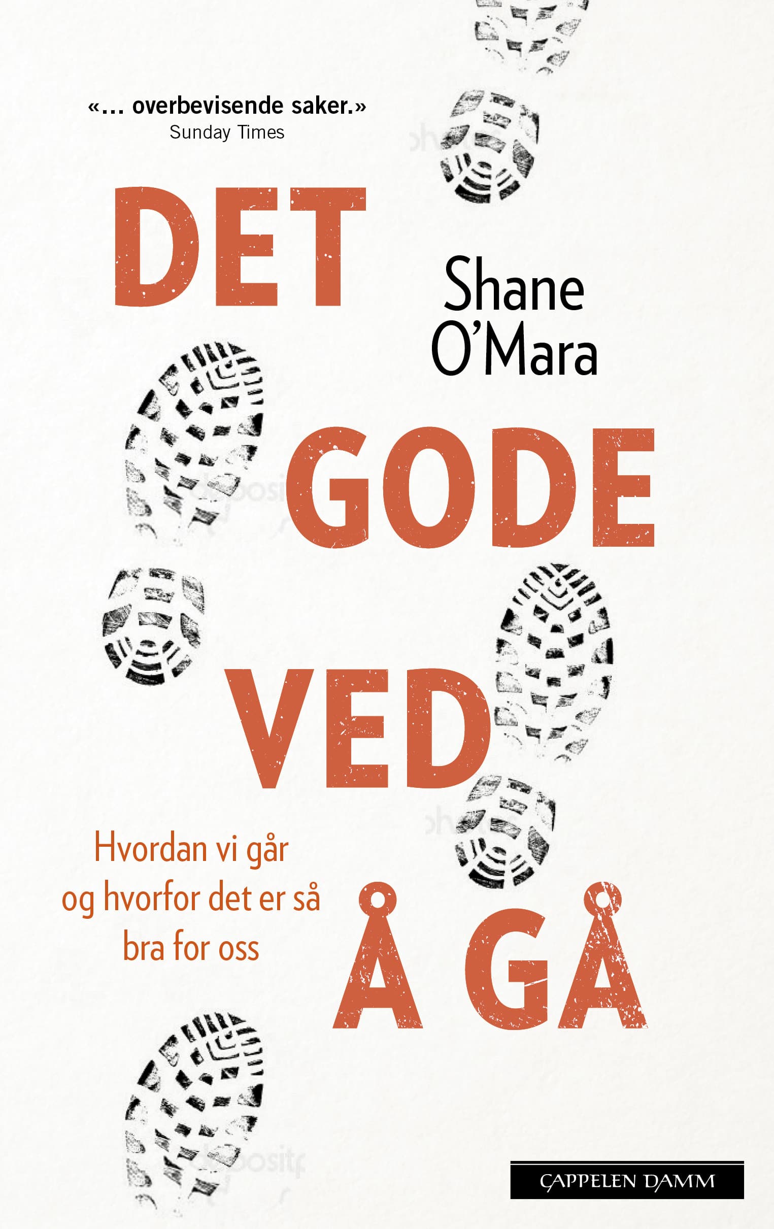 Omslag Det gode ved å gå av Shane O'Mara (Ebok)