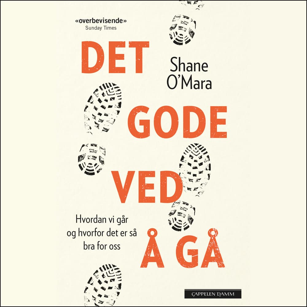 Omslag Det gode ved å gå - Hvordan vi går og hvorfor det er så bra for oss av Shane O'Mara (Lydbok)