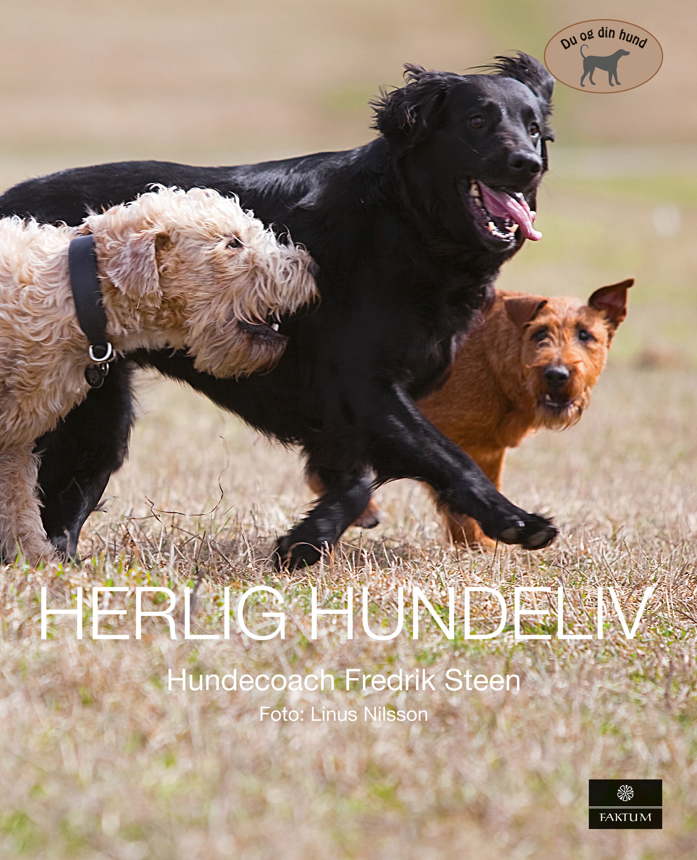 Omslag Herlig hundeliv (Innbundet)