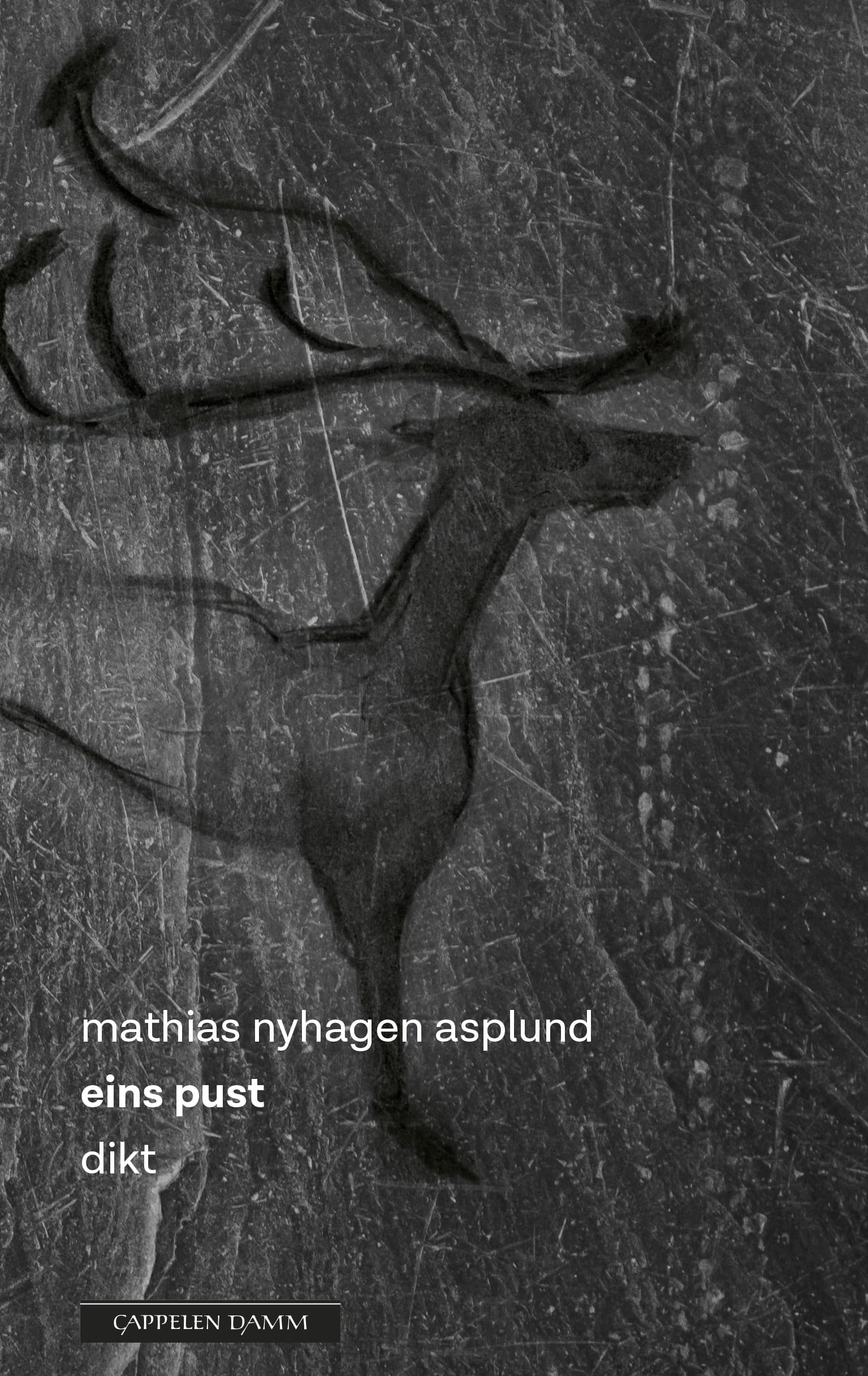 Omslag eins pust av Mathias Nyhagen Asplund (Ebok)