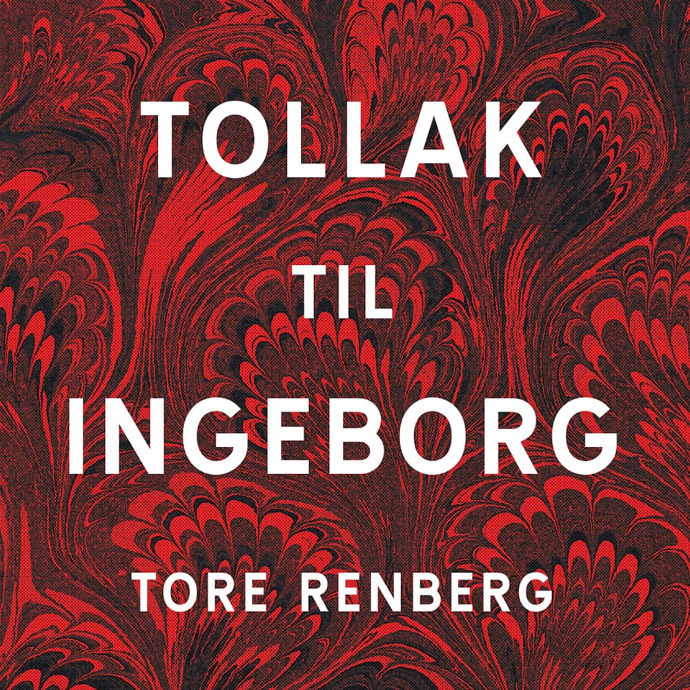 Omslag Tollak til Ingeborg av Tore Renberg (Lydbok)