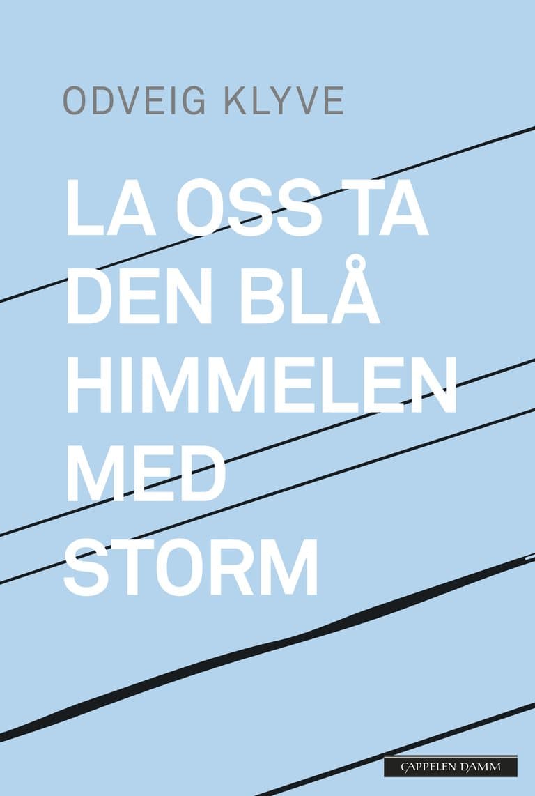 Omslag La oss ta den blå himmelen med storm av Odveig Klyve (Innbundet)