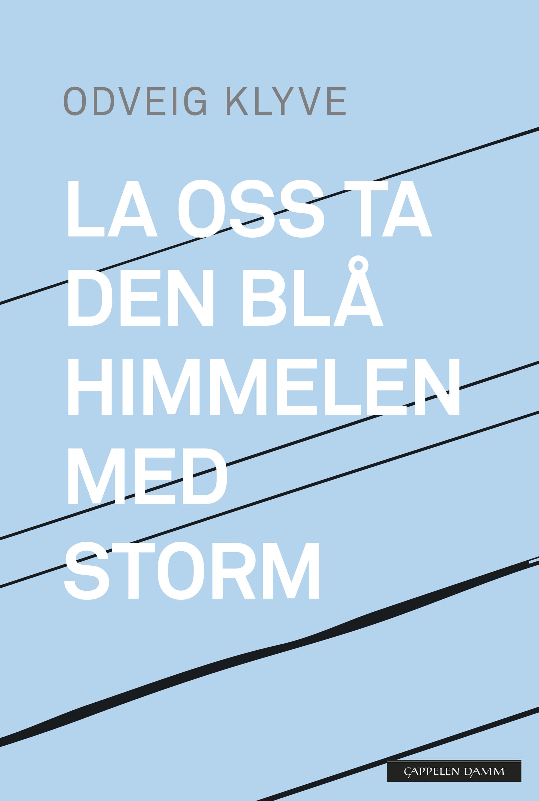 Omslag La oss ta den blå himmelen med storm av Odveig Klyve (Ebok)