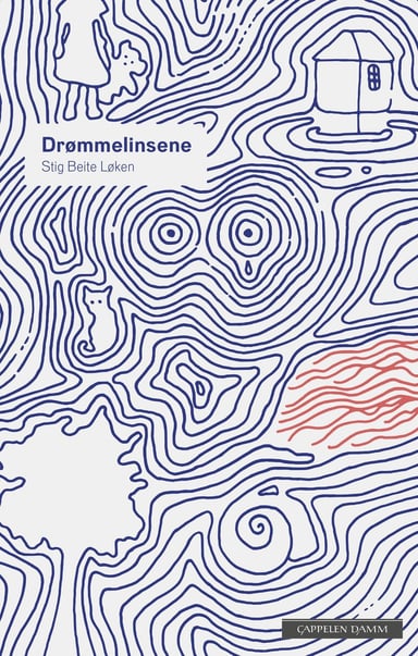 Omslag av "Drømmelinsene"