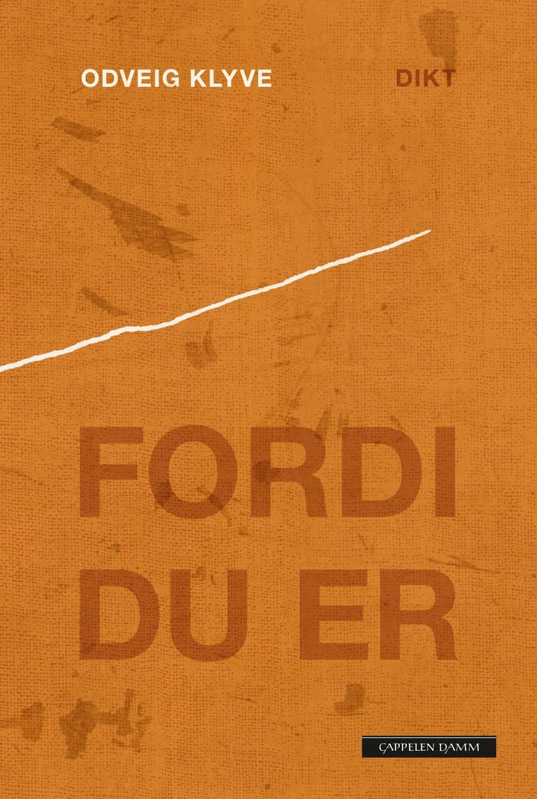 Omslag Fordi du er av Odveig Klyve (Innbundet)