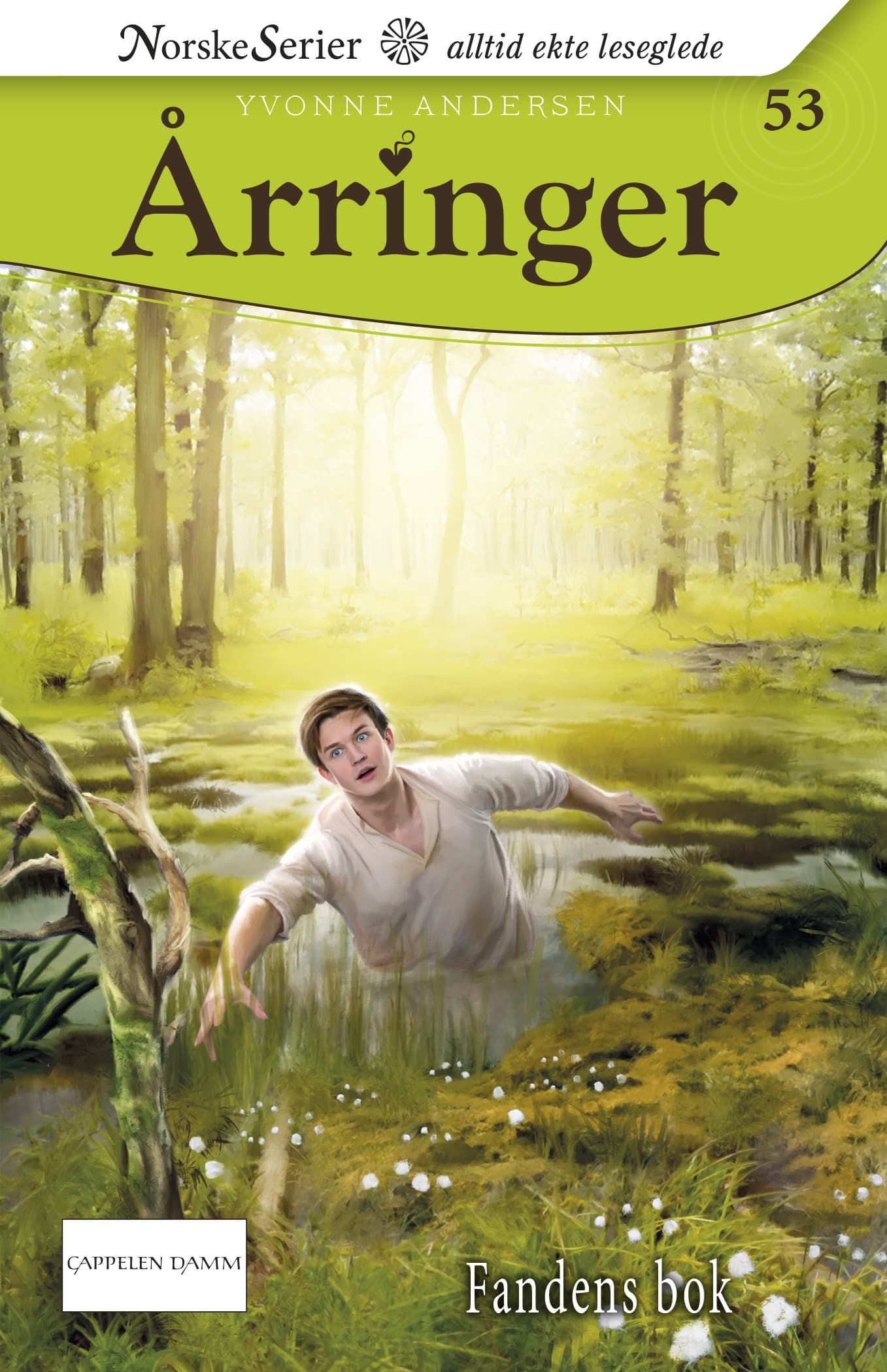Omslag Fandens bok av Yvonne Andersen (Heftet)