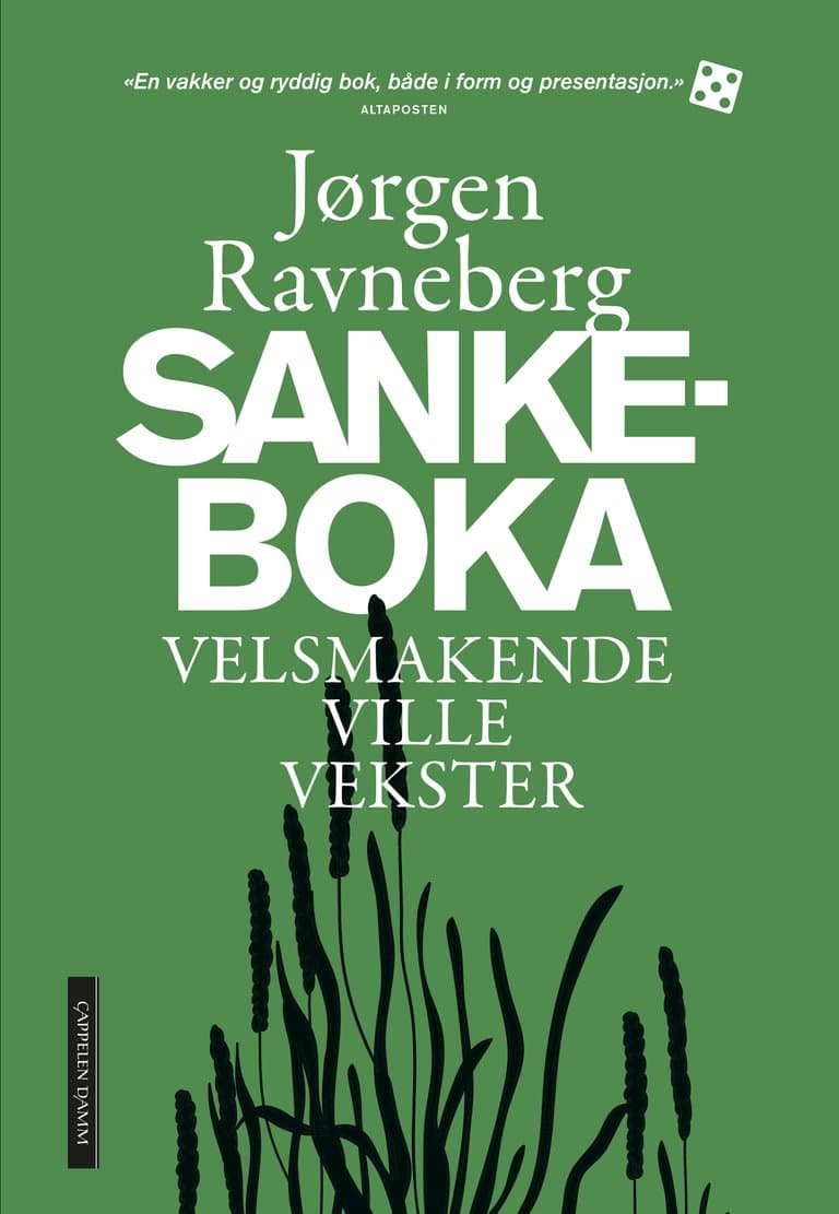 Omslag Sankeboka av Jørgen Ravneberg (Innbundet)