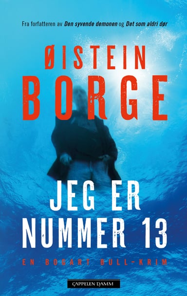 Omslag av "Jeg er nummer 13"