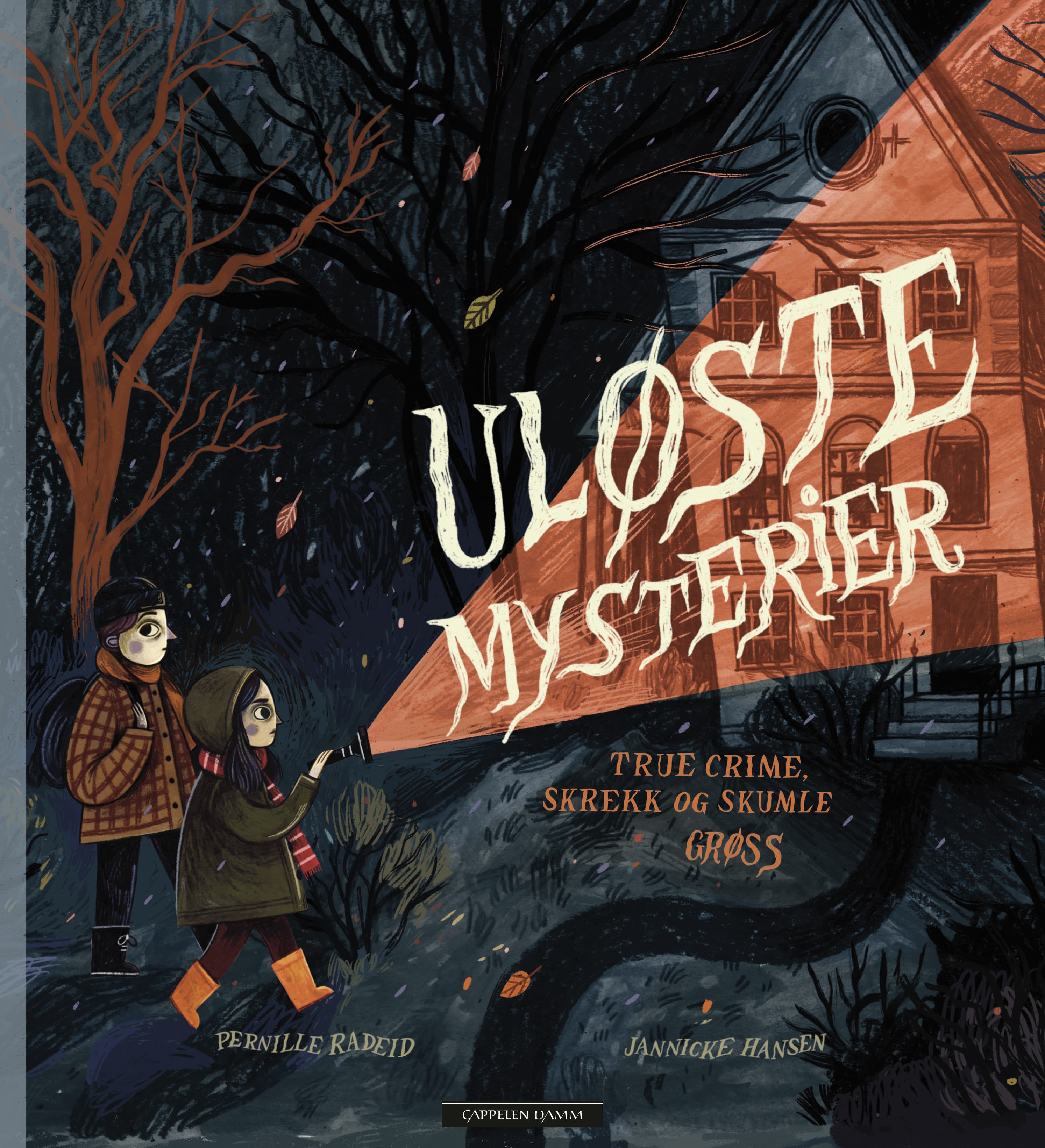 Omslag Uløste mysterier av Pernille Tufte Radeid (Innbundet)