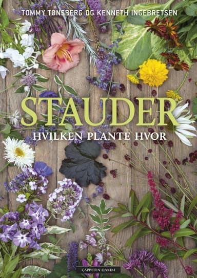 Stauder – hvilken plante hvor