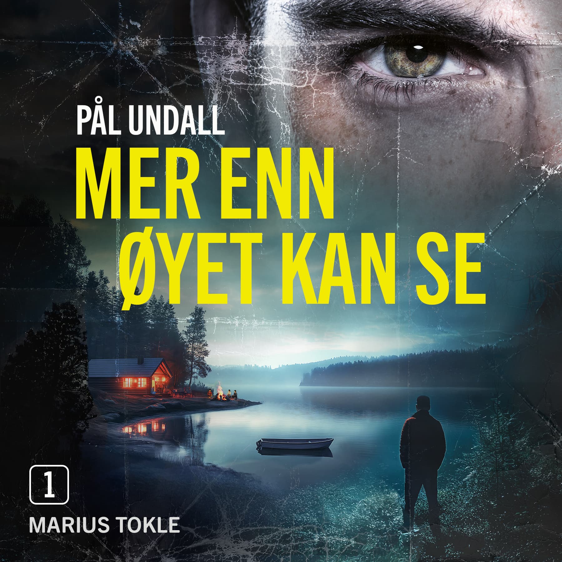 Omslag Mer enn øyet kan se av Pål Undall (Lydbok)