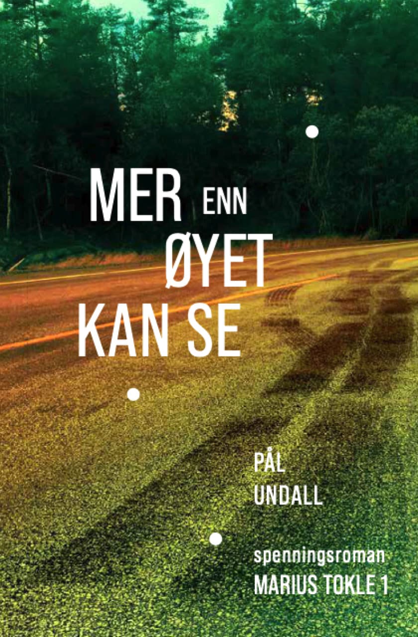 Omslag Mer enn øyet kan se av Pål Undall (Ebok)