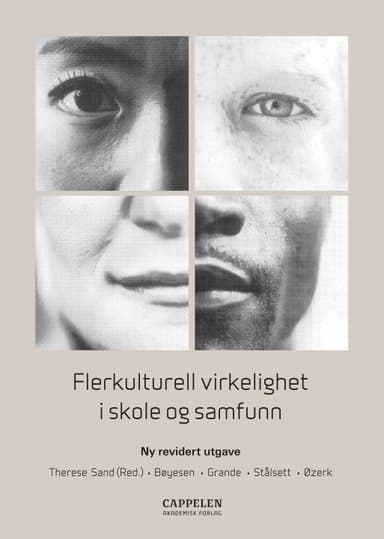 Flerkulturell virkelighet i skole og samfunn