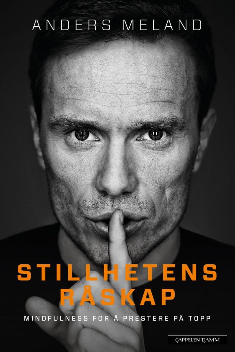 Omslag Stillhetens råskap av Anders Meland (Ebok)
