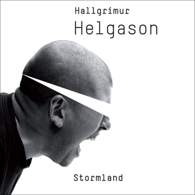 Omslag av "Stormland"