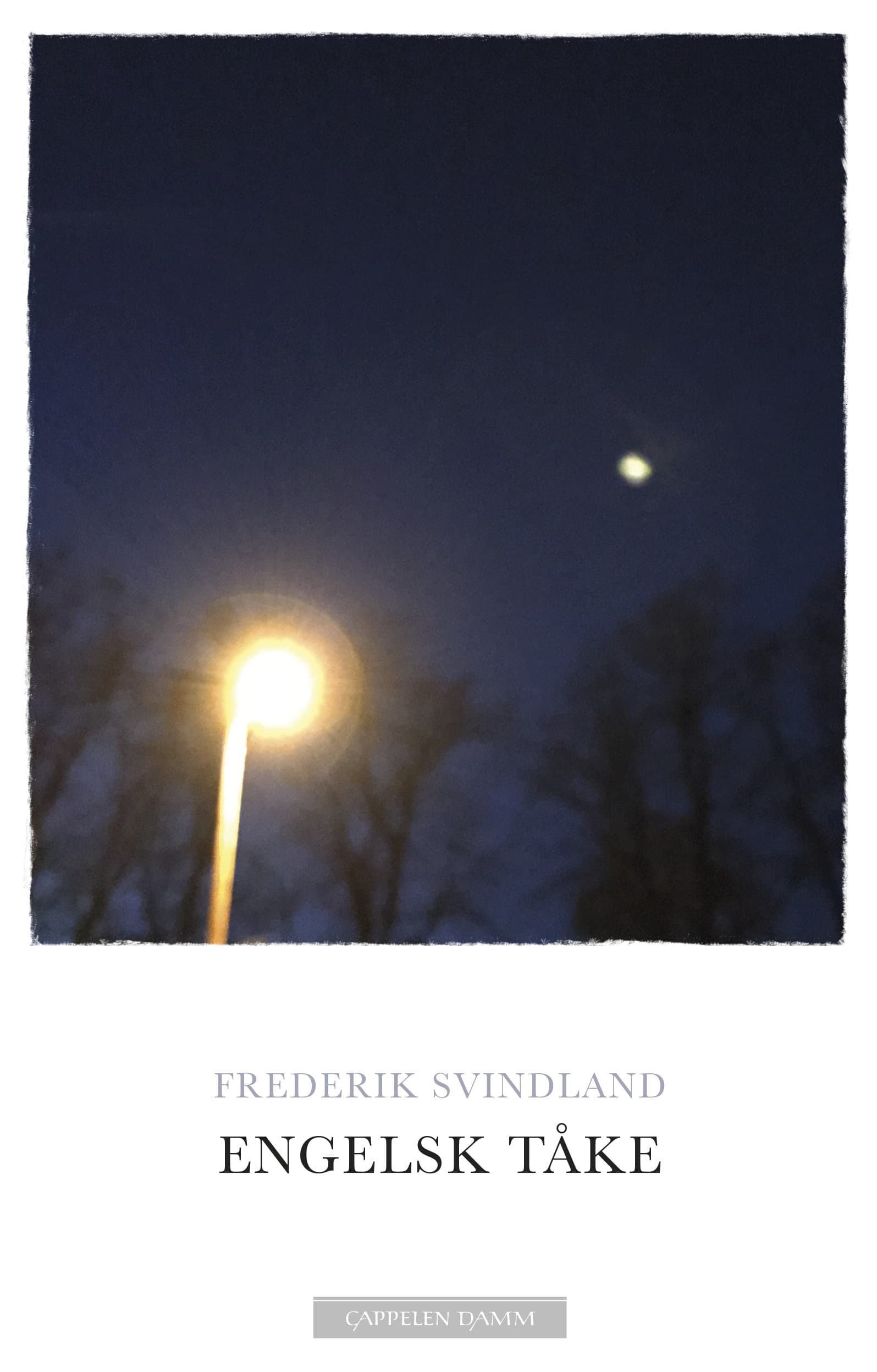 Omslag Engelsk tåke av Frederik Svindland (Innbundet)