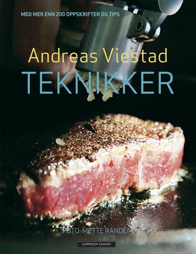 Omslag av "Teknikker"
