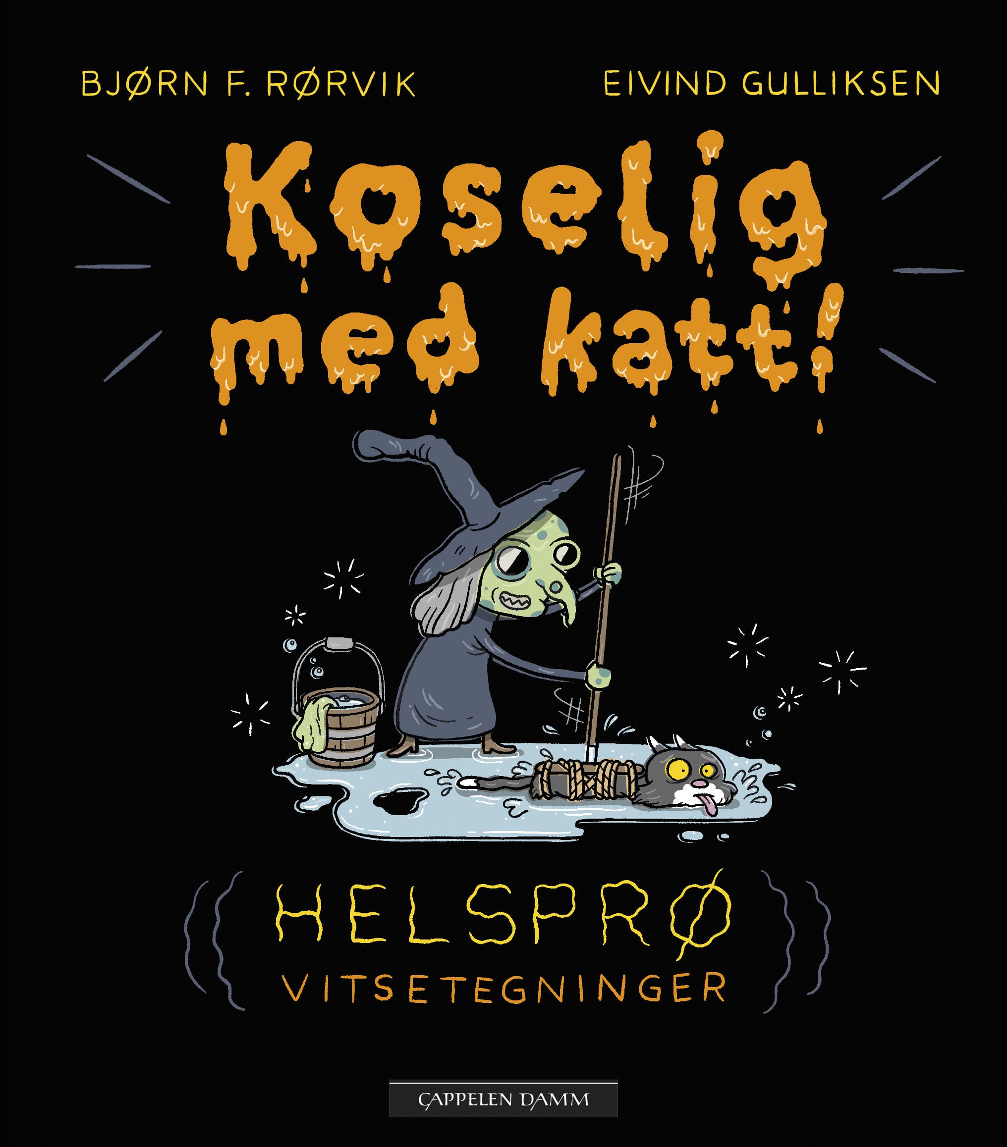 Omslag Koselig med katt av Bjørn F. Rørvik (Innbundet)