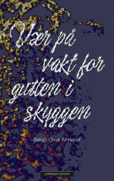 Omslag av "Vær på vakt for gutten i skyggen"