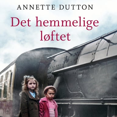 Omslag av "Det hemmelige løftet"