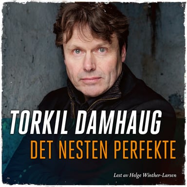 Omslag av "Det nesten perfekte"