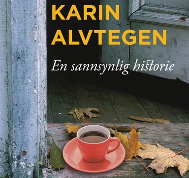Omslag av "En sannsynlig historie"