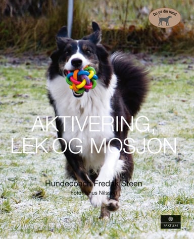 Omslag av "Aktivering, lek og mosjon"