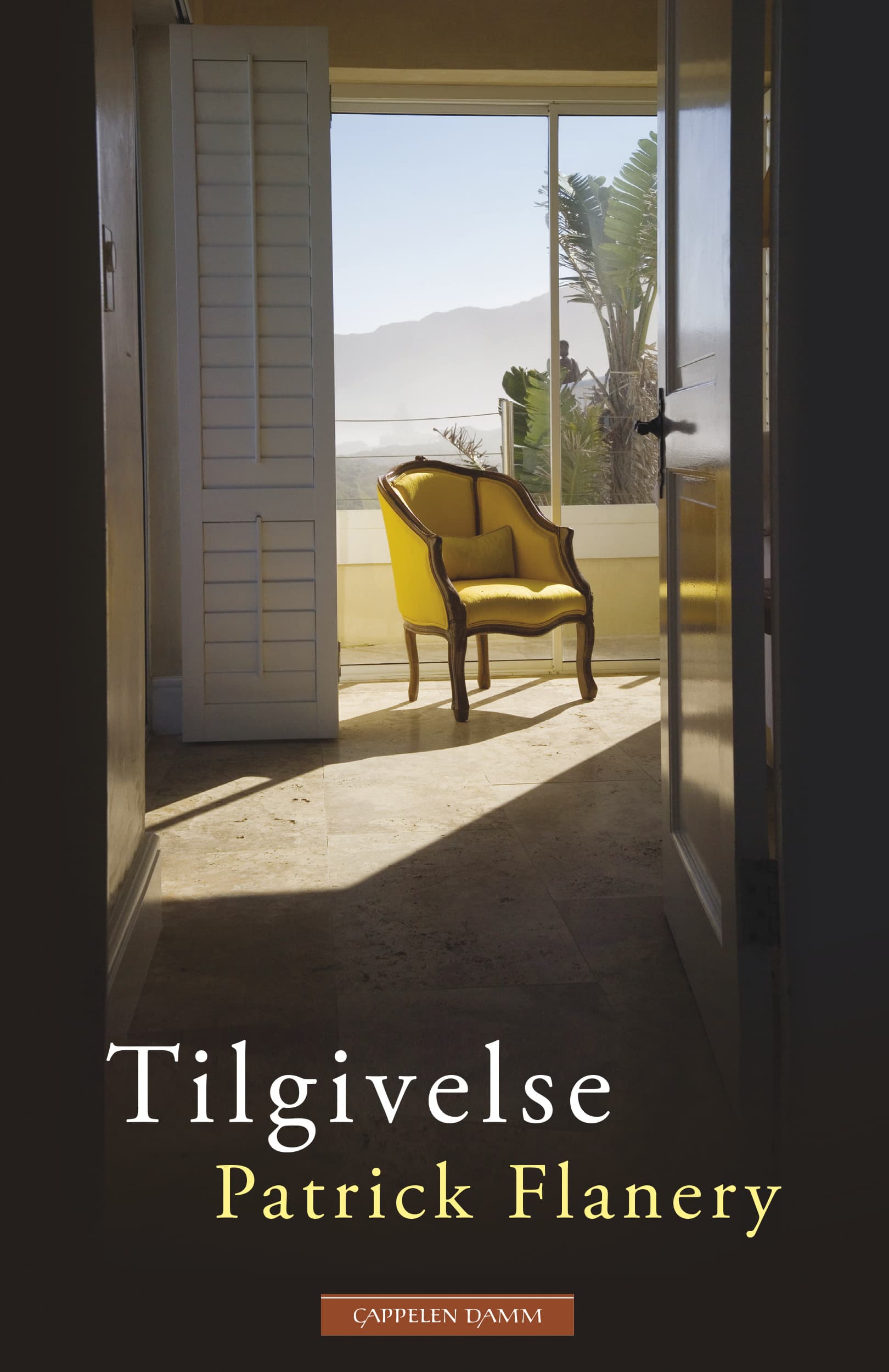 Omslag Tilgivelse av Patrick Flanery (Ebok)