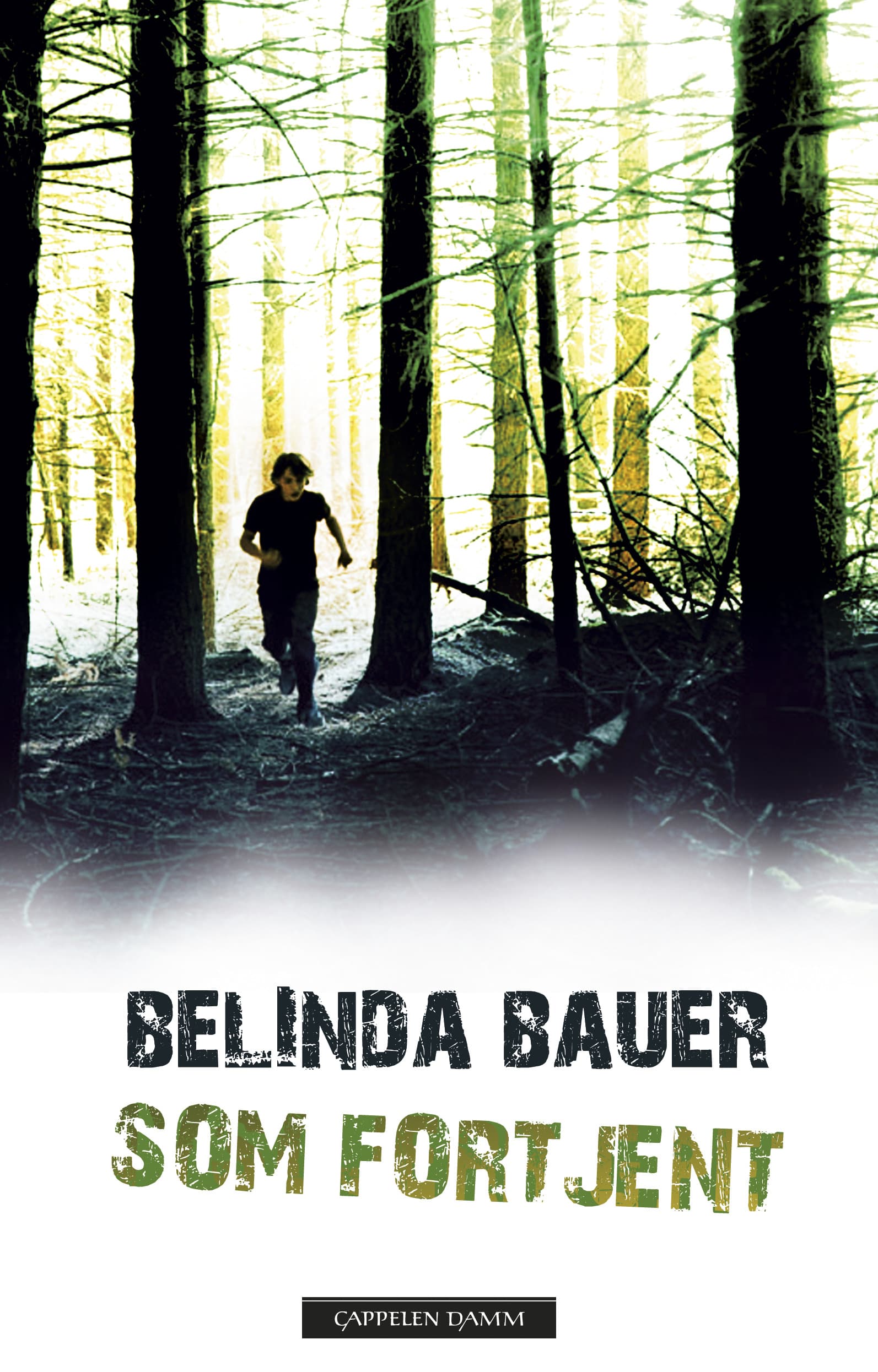 Omslag Som fortjent av Belinda Bauer (Innbundet)