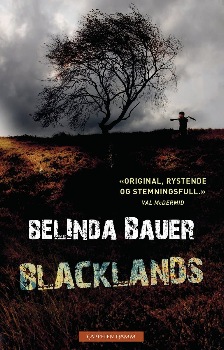 Omslag Blacklands av Belinda Bauer (Innbundet)