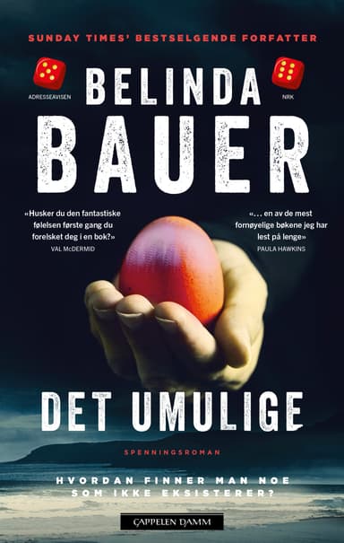 Det umulige