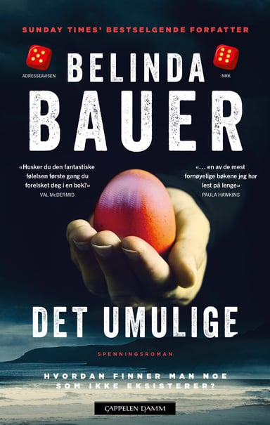 Omslag av "Det umulige"