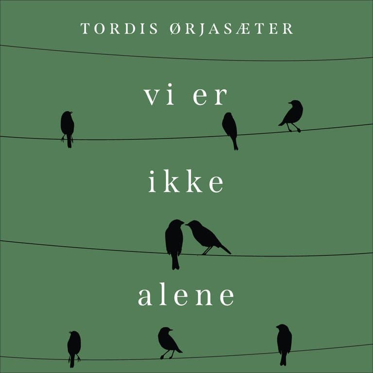 Omslag Vi er ikke alene - En personlig historie om annerledesbarnet i litteraturen av Tordis Ørjasæter (Lydbok)