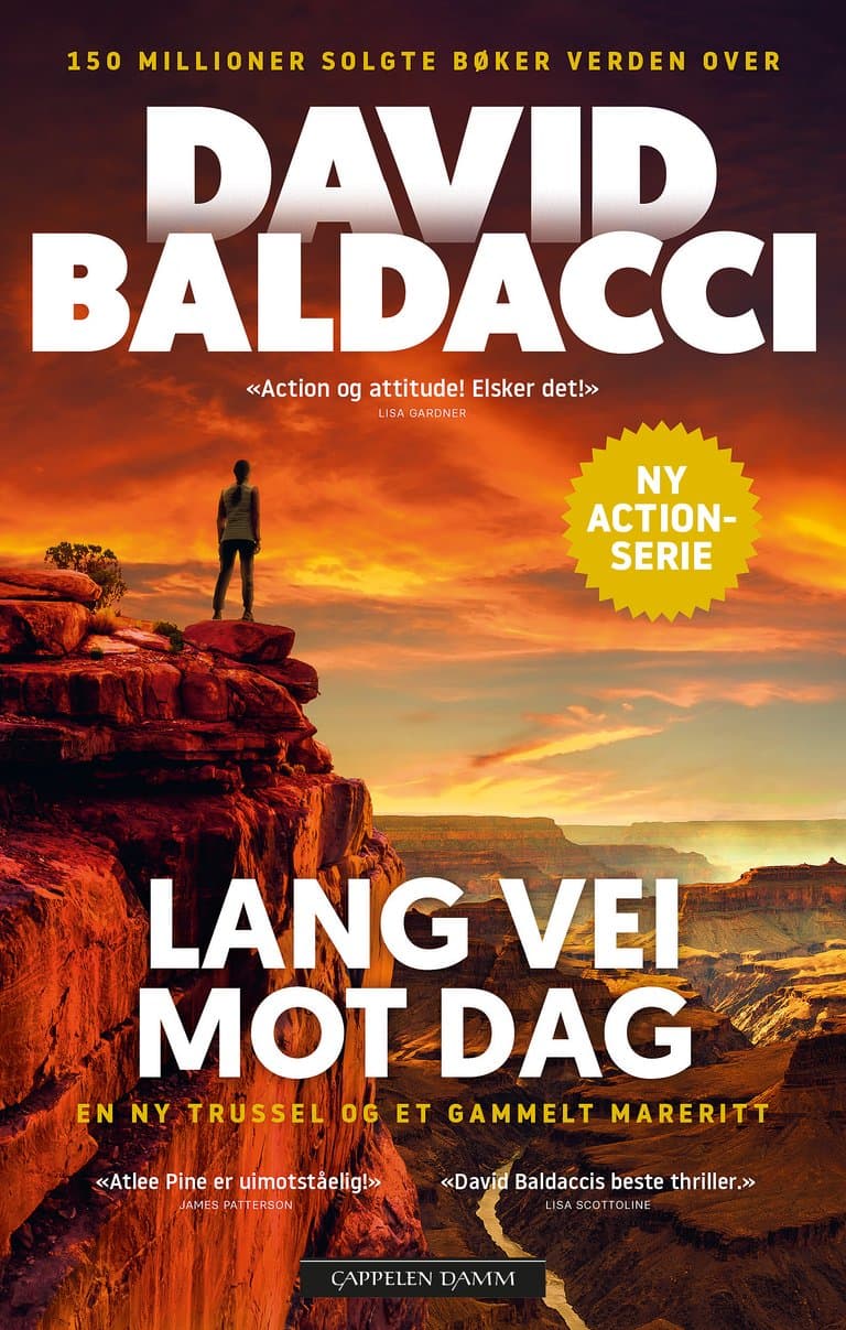 Omslag Lang vei mot dag av David Baldacci (Innbundet)