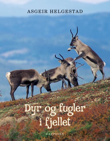 Dyr og fugler i fjellet