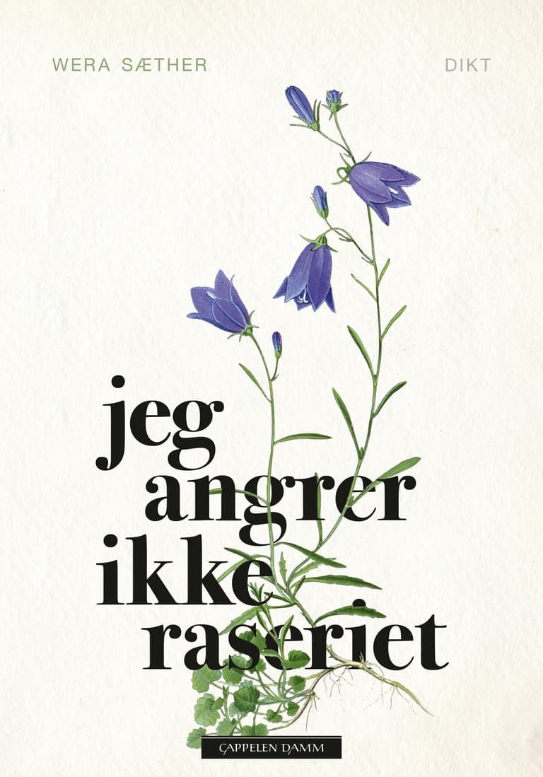 Omslag Jeg angrer ikke raseriet av Wera Sæther (Ebok)
