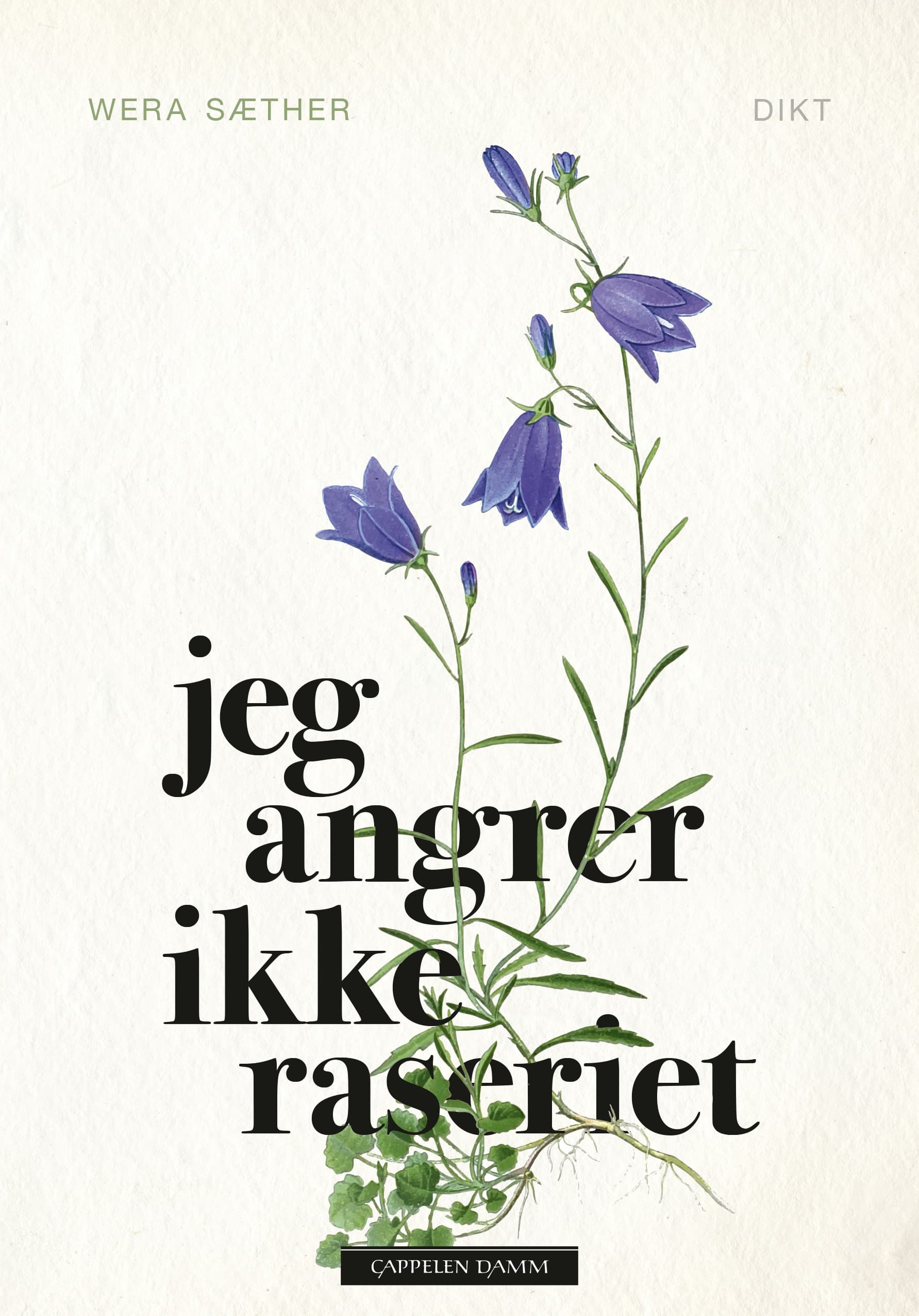 Omslag Jeg angrer ikke raseriet av Wera Sæther (Ebok)