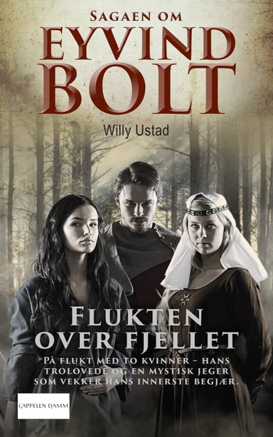 Omslag av "Flukten over fjellet"