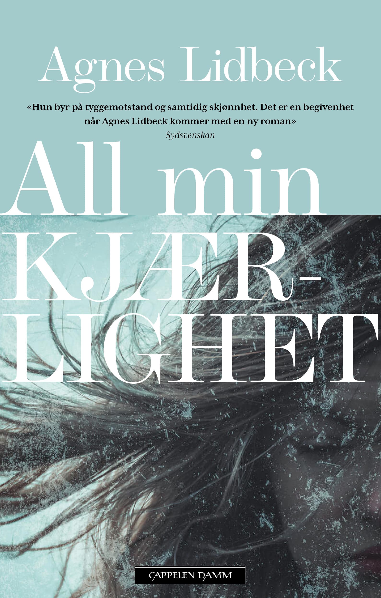 Omslag All min kjærlighet av Agnes Lidbeck (Innbundet)