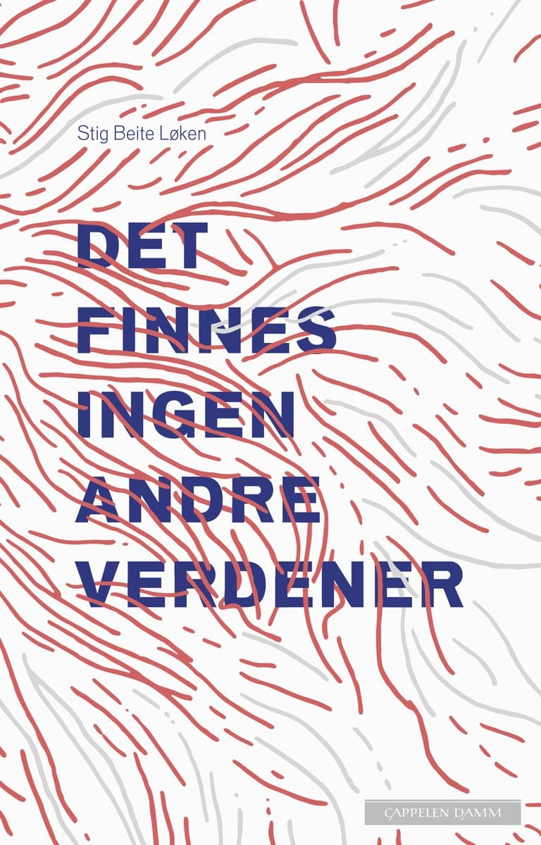 Omslag Det finnes ingen andre verdener av Stig Beite Løken (Innbundet)