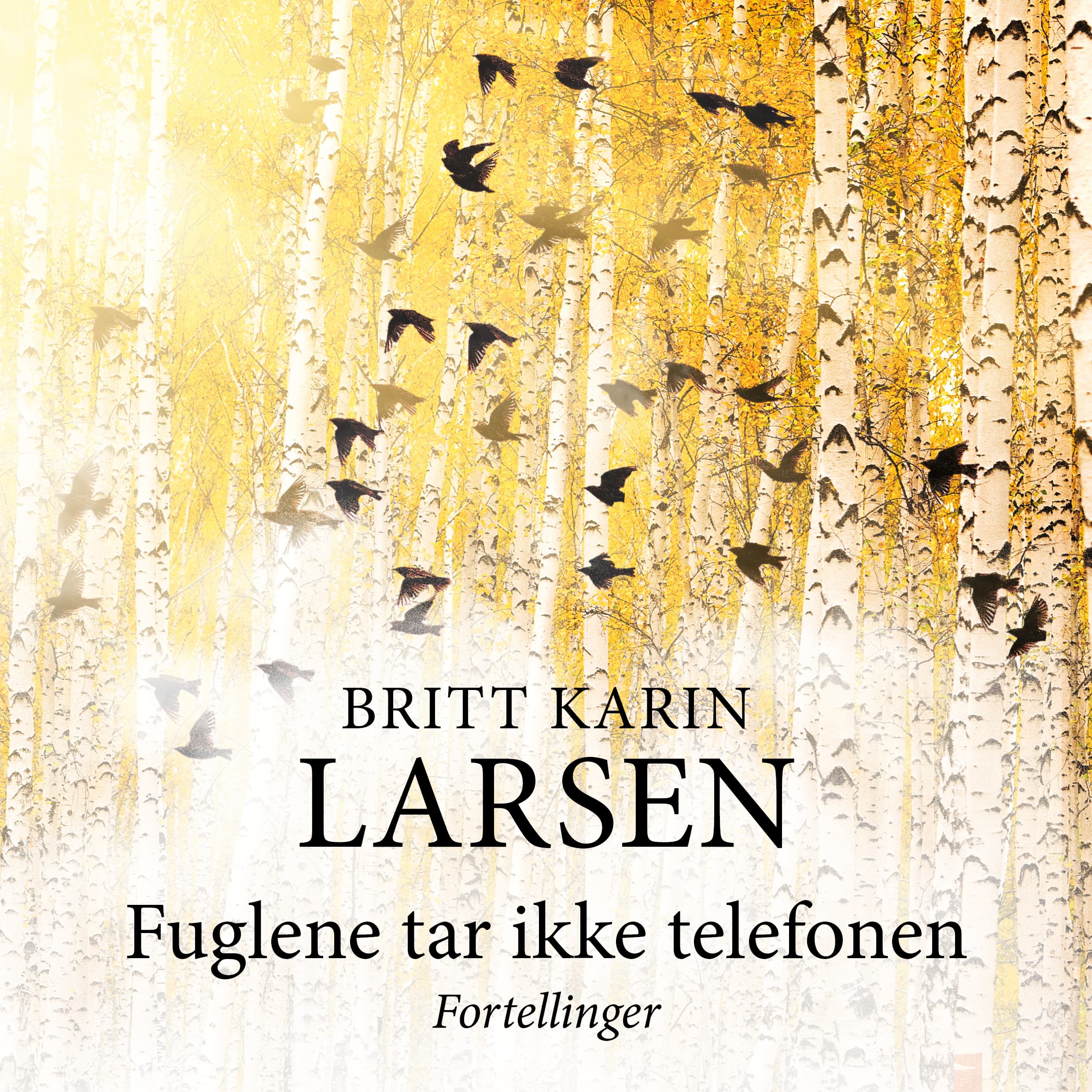 Omslag Fuglene tar ikke telefonen av Britt Karin Larsen (Lydbok)