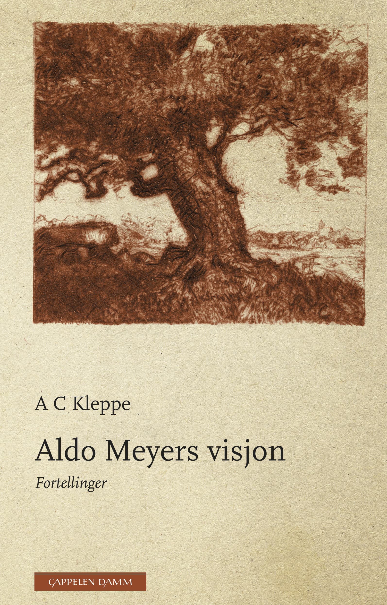 Omslag Aldo Meyers visjon av Astri Kleppe (Ebok)