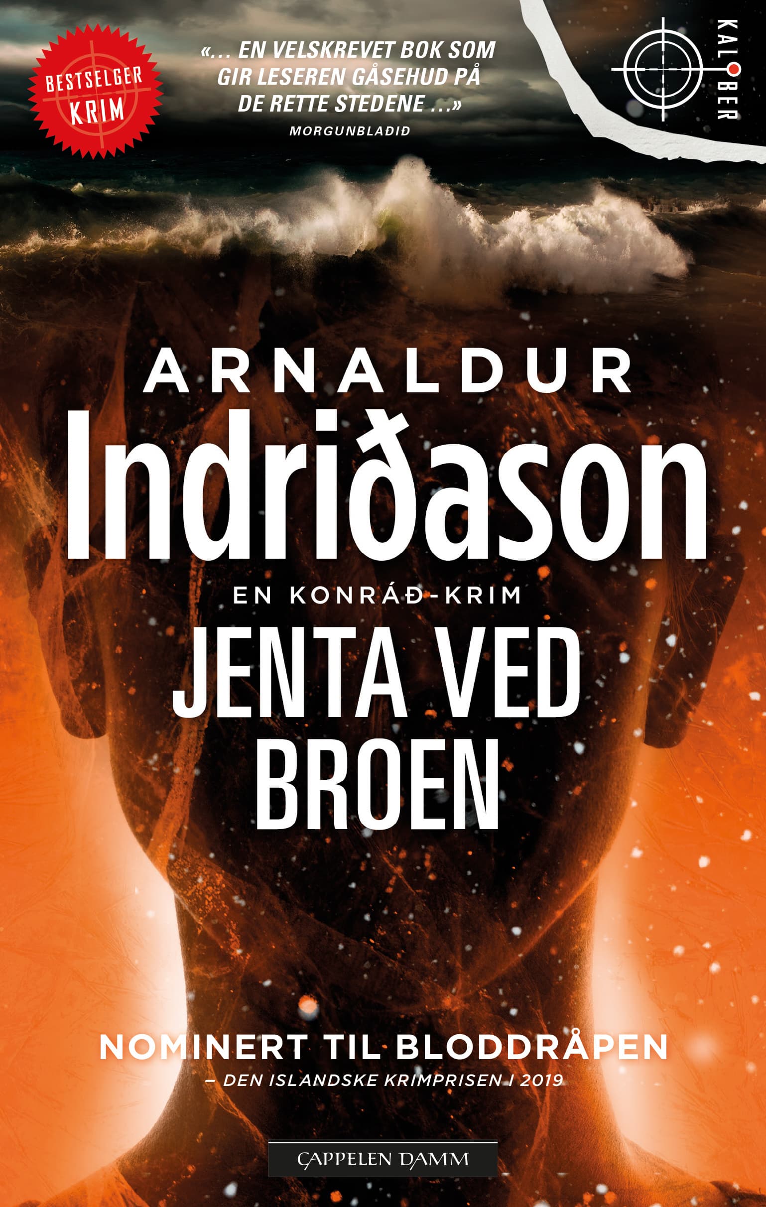 Omslag Jenta ved broen av Arnaldur Indridason (Ebok)