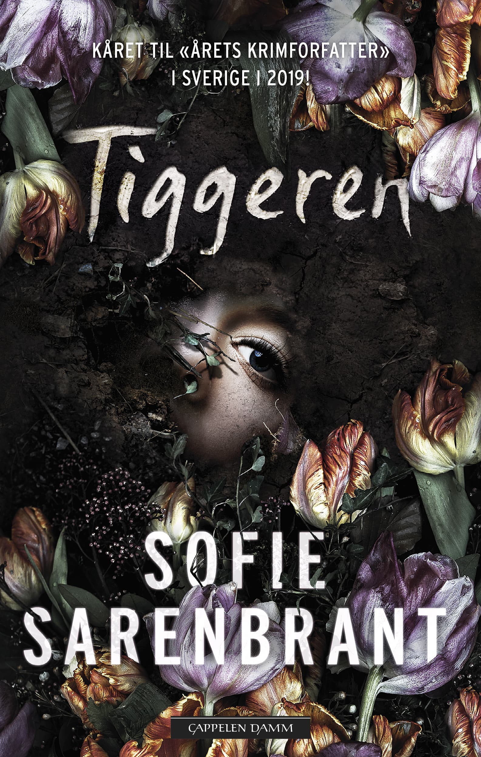 Omslag Tiggeren av Sofie Sarenbrant (Ebok)