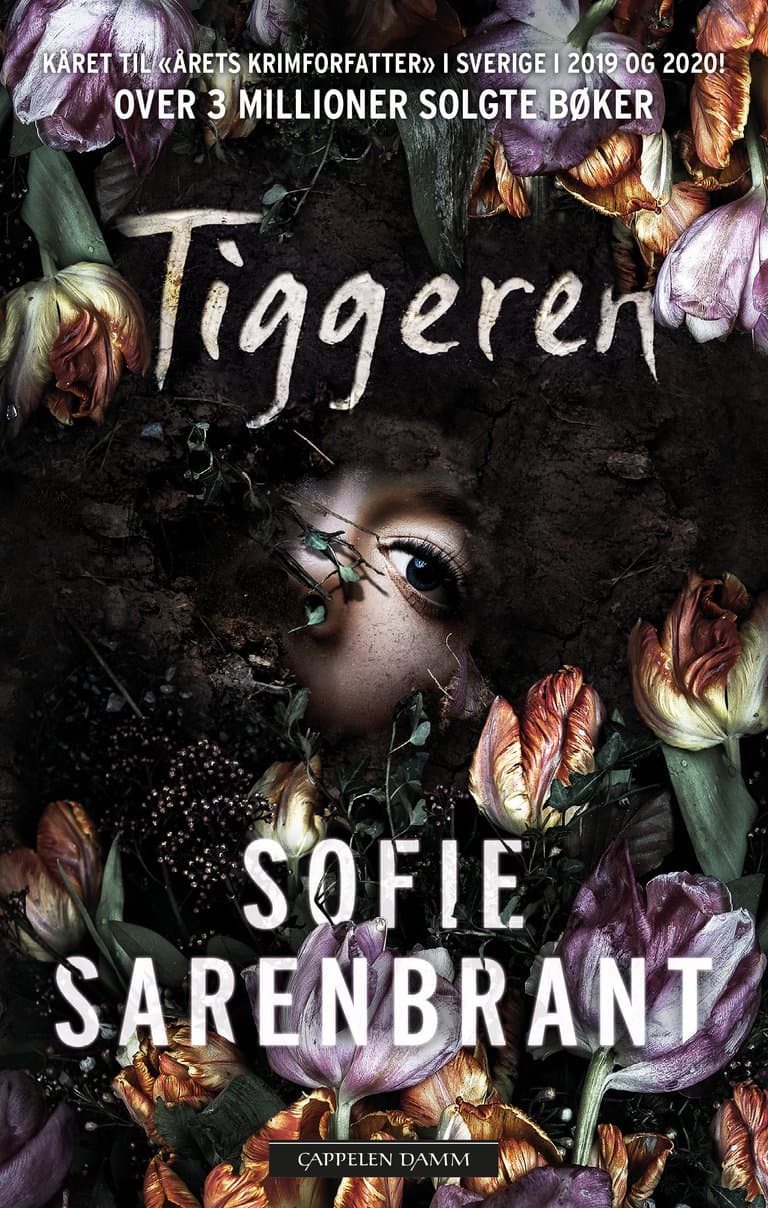 Omslag Tiggeren av Sofie Sarenbrant (Heftet)
