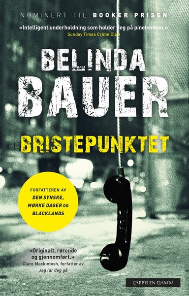 Omslag av "Bristepunktet"