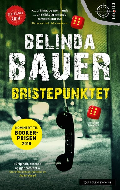 Omslag av "Bristepunktet"