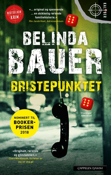 Omslag av "Bristepunktet"