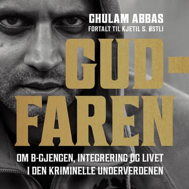 Gudfaren - Om B-gjengen, integrering og livet i den kriminelle underverdenen