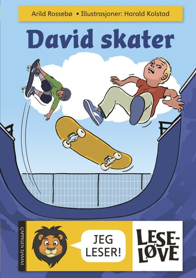 Leseløve - David skater